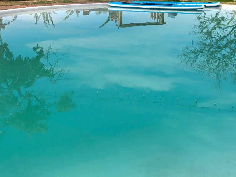 a pool with a boat and trees.